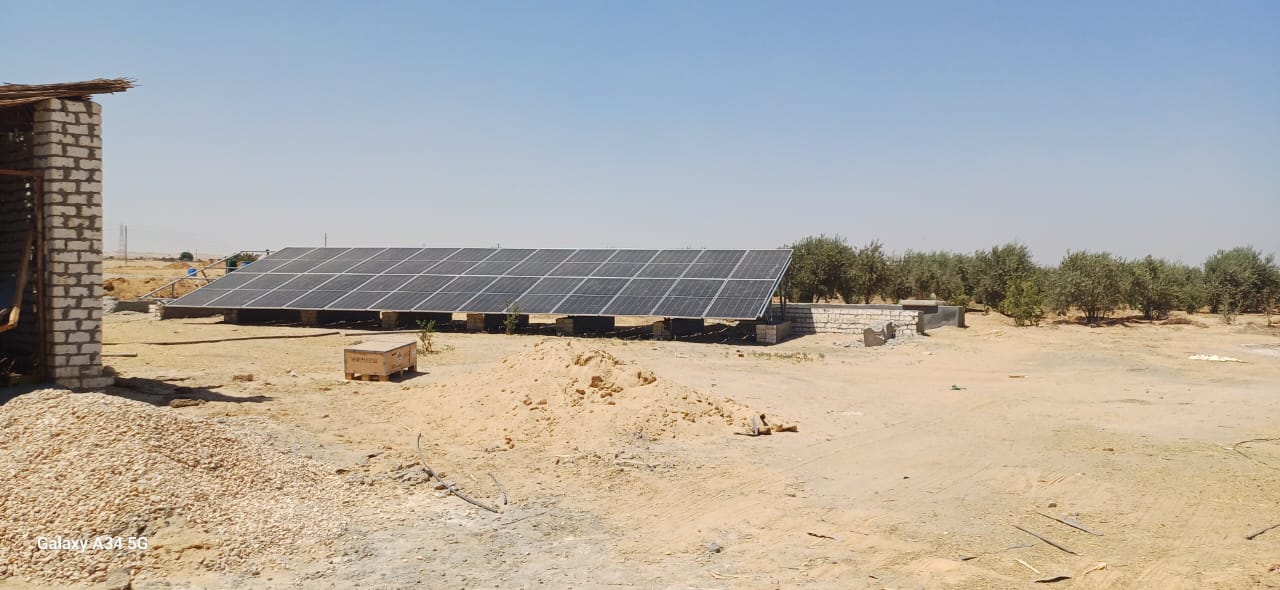 Eng\ Ahmed farm